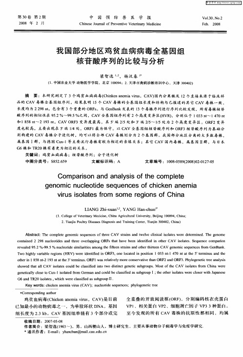 我国部分地区鸡贫血病病毒全基因组核苷酸序列的比较与分析