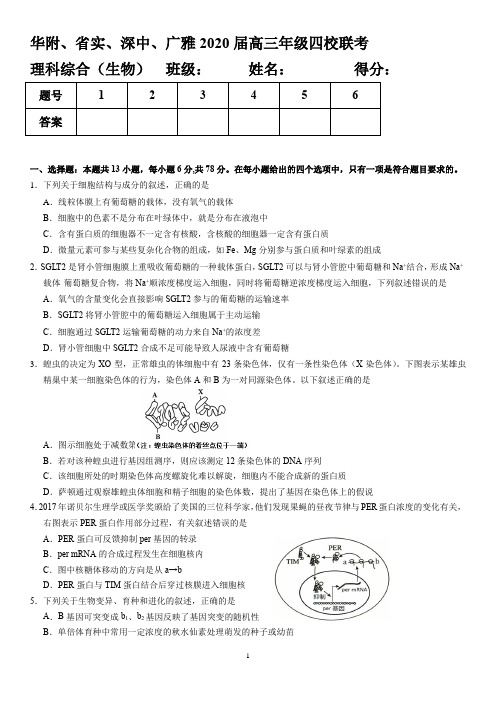 2020年华附省实深中广雅四大名校四月联考(理综生物)