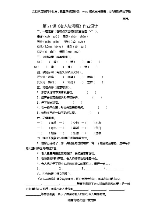 老人与海鸥作业设计(任书锦)
