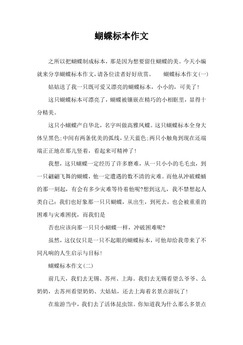 蝴蝶标本作文