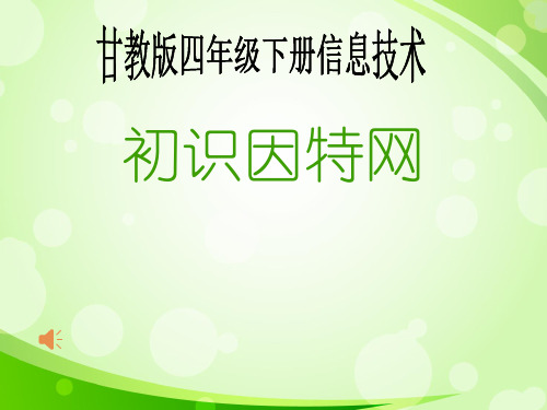 初识因特网