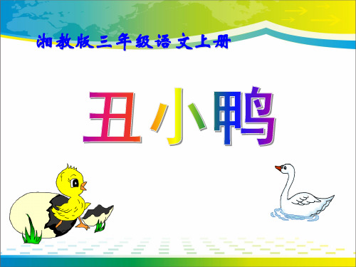 《丑小鸭》PPT课件15【优秀课件推荐】