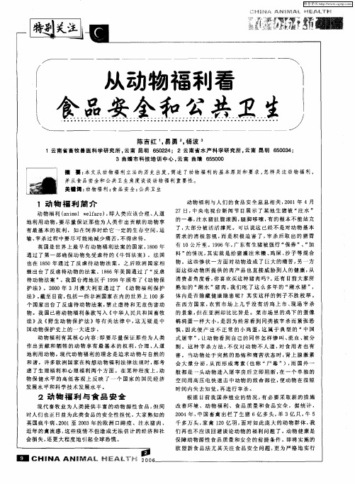 从动物福利看食品安全和公共卫生