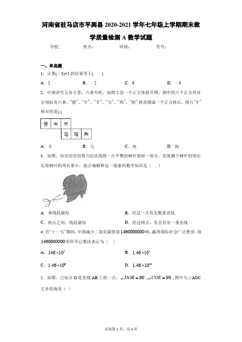 河南省驻马店市平舆县2020-2021学年七年级上学期期末教学质量检测A数学试题(wrod版含答案)