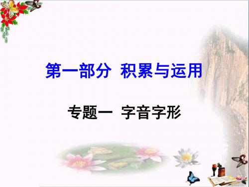 中考语文复习第一部分：积累与运用PPT优秀课件下载(13份)(12张)