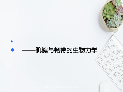 生物力学肌腱及韧带生物力学特性