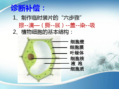人教版七年级生物体的结构层次《细胞是生命活动的基本单位动物细胞》(PPT课件)