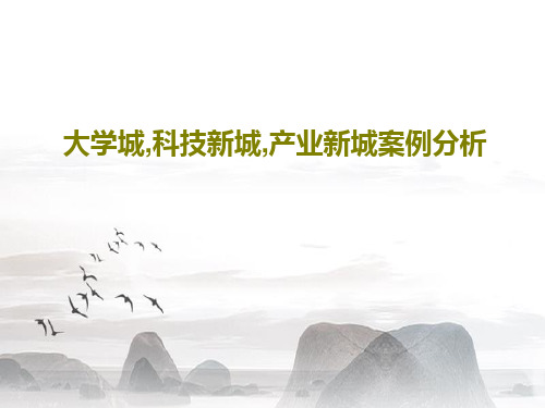 大学城,科技新城,产业新城案例分析23页PPT