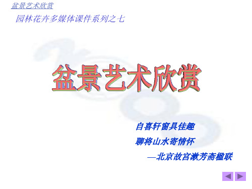 盆景艺术欣赏PPT课件