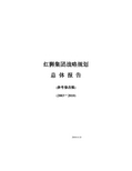 共图—红狮战略规划(参考修改稿)