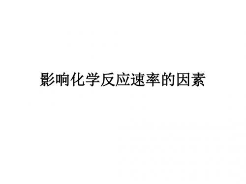 高一化学影响化学反应速率的因素1