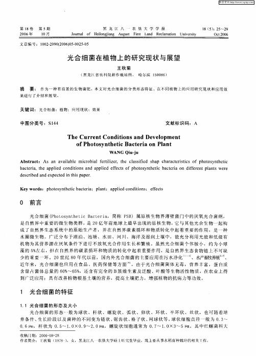 光合细菌在植物上的研究现状与展望