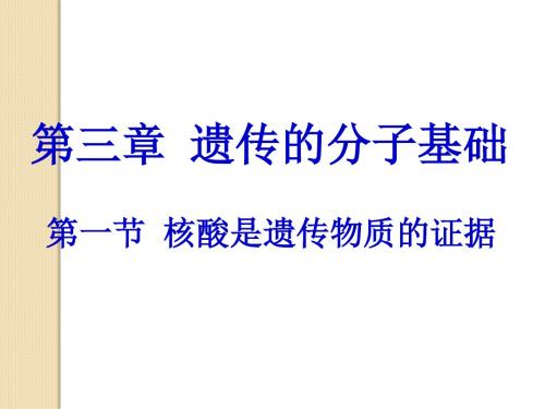 生物：3.1《核酸是遗传物质的证据》课件(浙科版必修2)