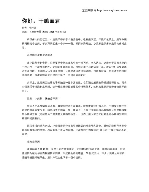 你好,干脆面君
