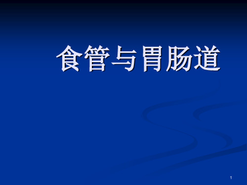 消化道影像表现PPT课件