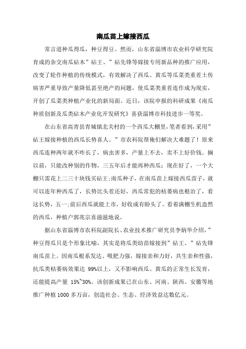南瓜苗上嫁接西瓜