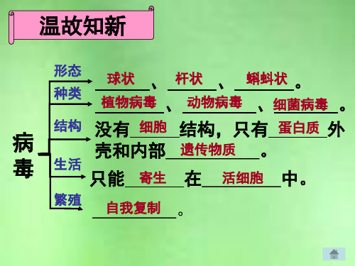 济南版生物七年级上册 2.3.2 细菌 课件 