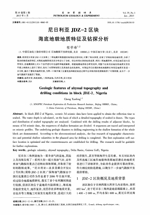 尼日利亚JDZ-2区块海底地貌地质特征及钻探分析