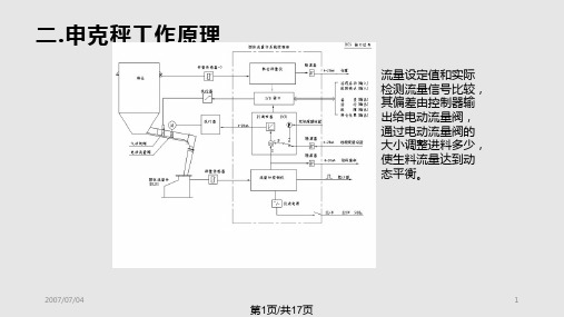 申克秤原理维护及标定PPT课件