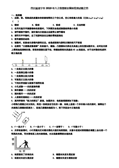 四川省遂宁市2019年八上物理期末模拟检测试题之四