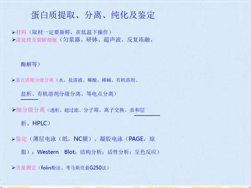 蛋白质提取、分离、纯化及鉴定(共14张PPT)