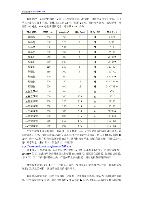 三红紫薇苗