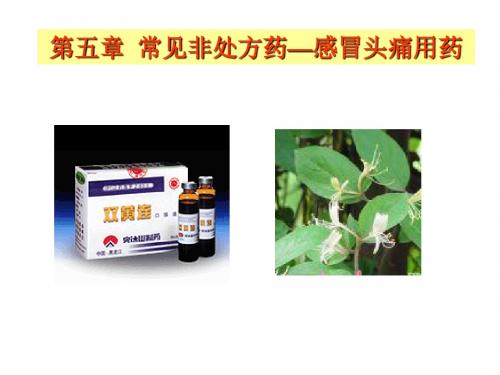 第五章感冒头痛非处方药