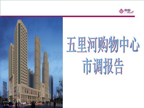 沈阳五里河商业市调报告精品文档