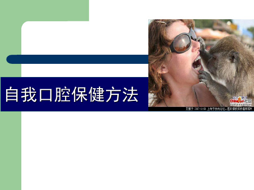 自我口腔保健方法