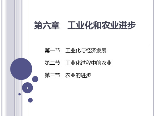 发展经济学课件第六章 工业化和农业进步