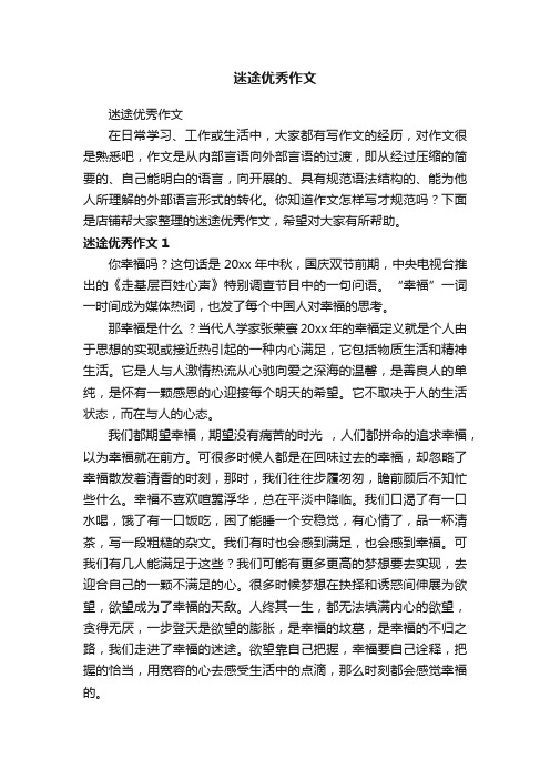 迷途优秀作文