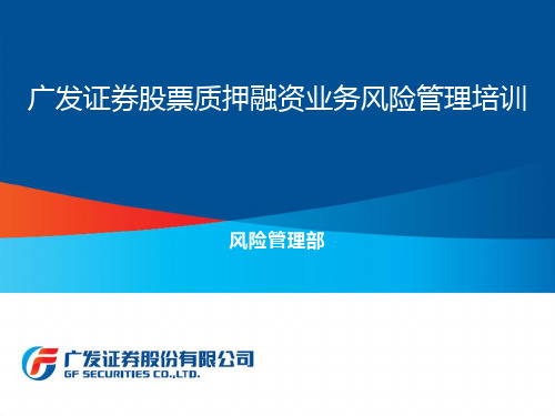 证券股票质押融资业务风险管理培训