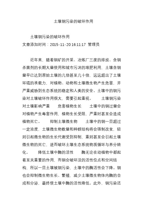 土壤铜污染的破坏作用