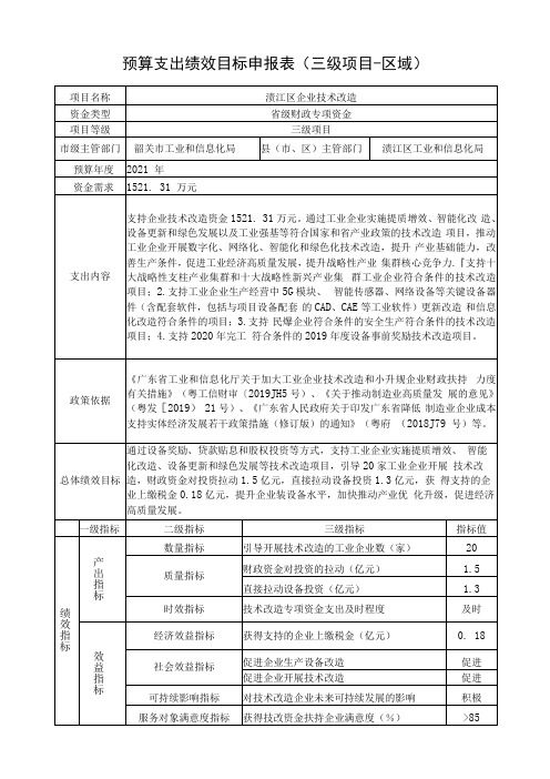 预算支出绩效目标申报表三级项目-区域