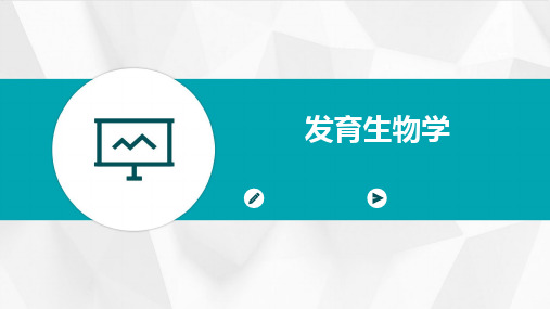 发育生物学