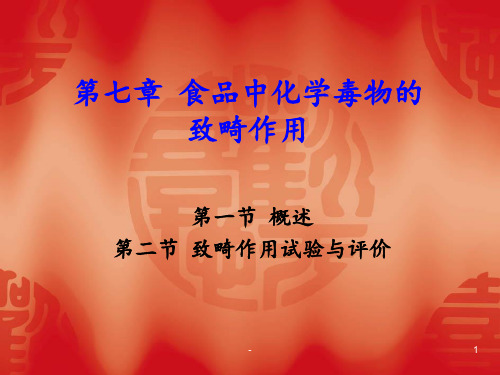 七化学毒物的致畸作用PPT课件