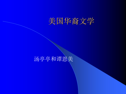 美国华裔文学