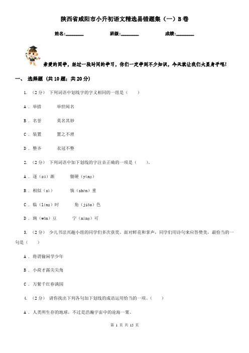 陕西省咸阳市小升初语文精选易错题集(一)B卷