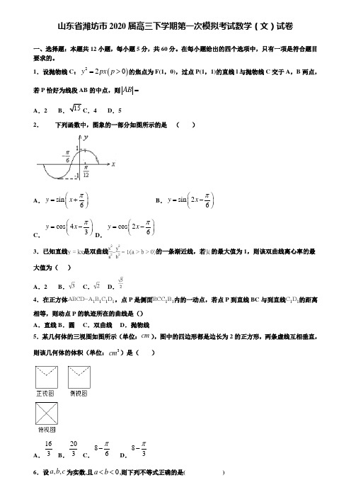 【附15套精选模拟试卷】山东省潍坊市2020届高三下学期第一次模拟考试数学(文)试卷含解析