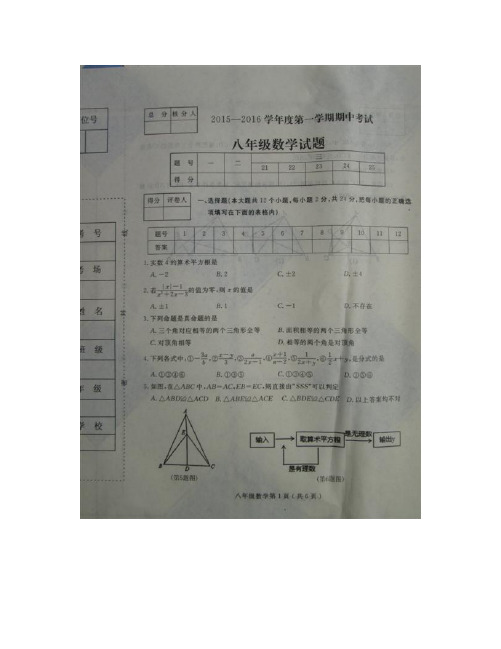 石家庄市栾城县八年级数学上学期期中试卷及答案
