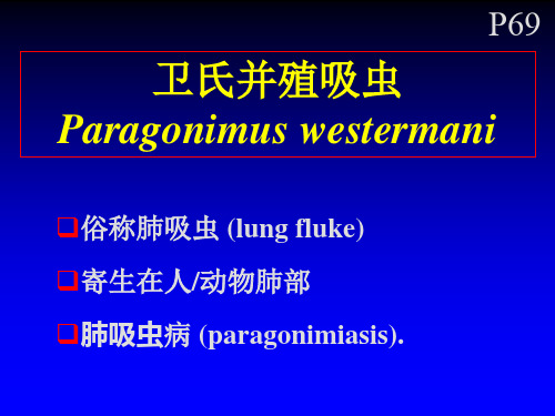 姜片虫并殖吸虫课件