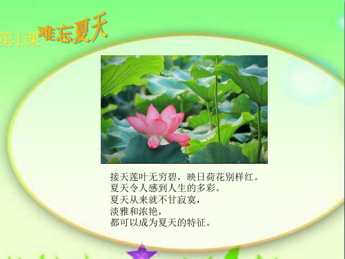 最新二年级美术上册难忘夏天4苏少版优选教学课件