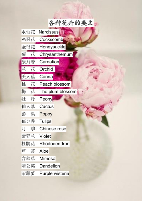 各种花卉的英文