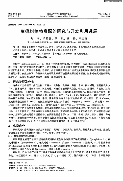麻疯树植物资源的研究与开发利用进展