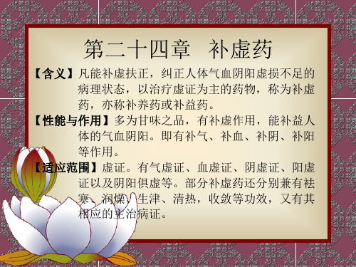 第章补虚药第节补气药PPT课件