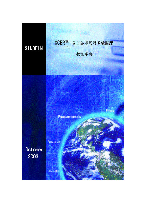 CCER中国证券市场财务数据库
