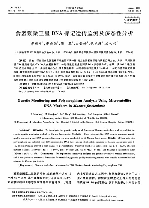 食蟹猴微卫星DNA标记遗传监测及多态性分析