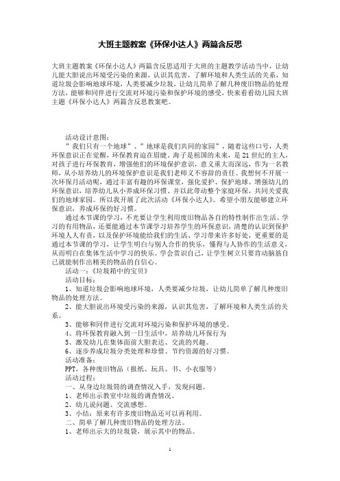 大班主题教案《环保小达人》两篇含反思