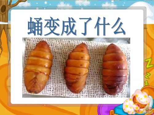 蛹变成了什么-动物的生命周期PPT精品教学课件