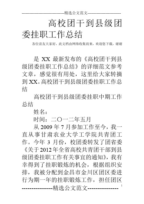 高校团干到县级团委挂职工作总结